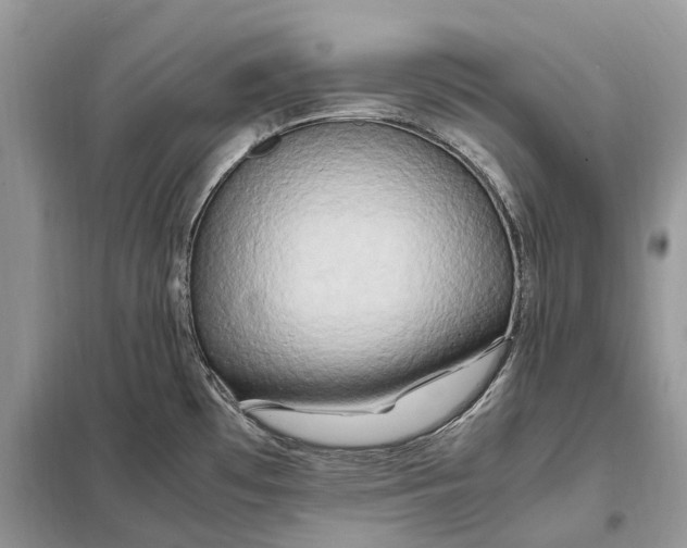 X0000099231481200805081545