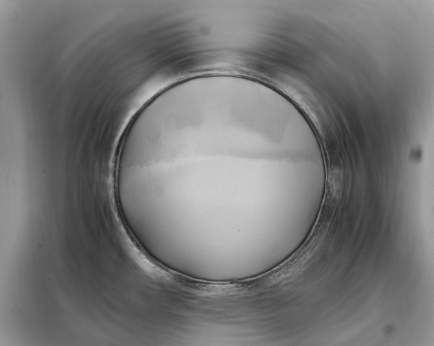 X0000099231482200805081545