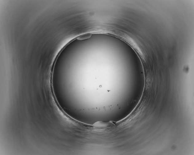 X0000099231484200805081545