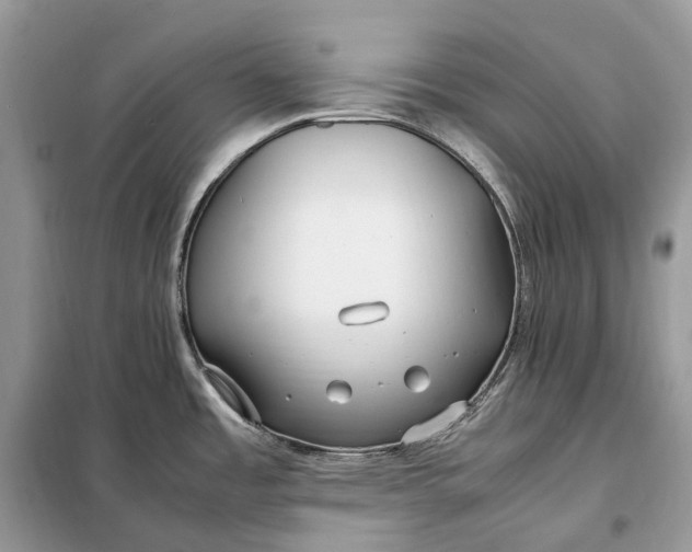 X0000099231485200805081545