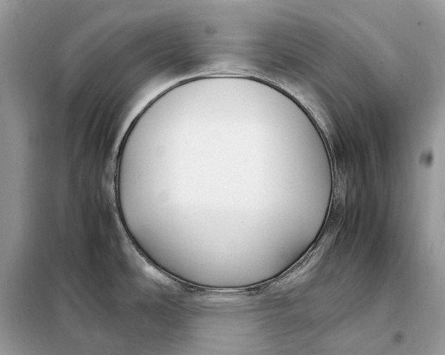 X0000099231486200805081545