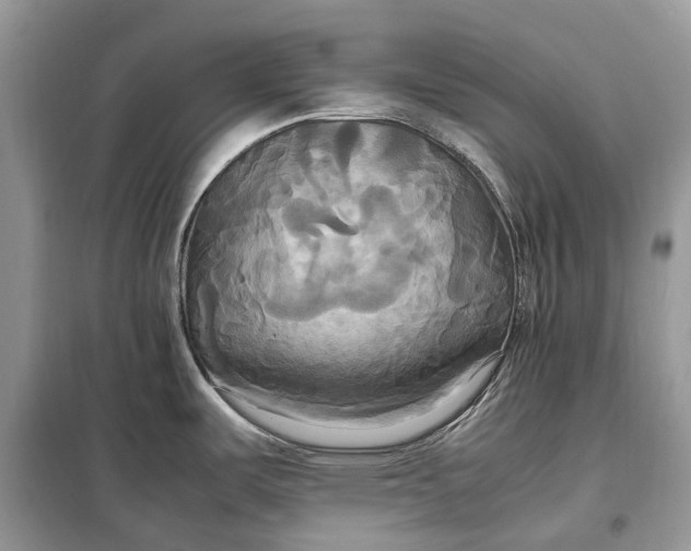 X0000099231487200805081545