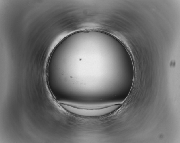 X0000099231488200805081545