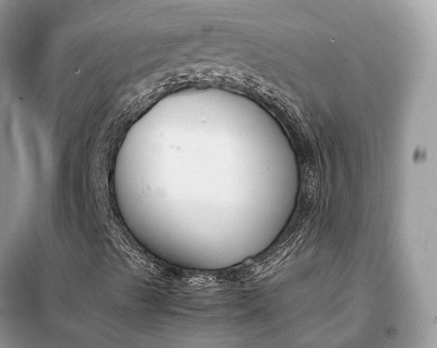 X0000099231489200805081545