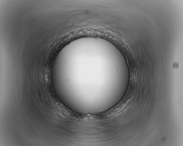 X0000099231490200805081545