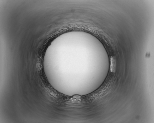 X0000099231491200805081545