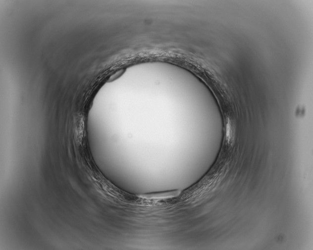 X0000099231492200805081545