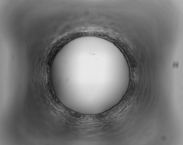 X0000099231493200805081545