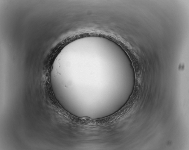 X0000099231495200805081545