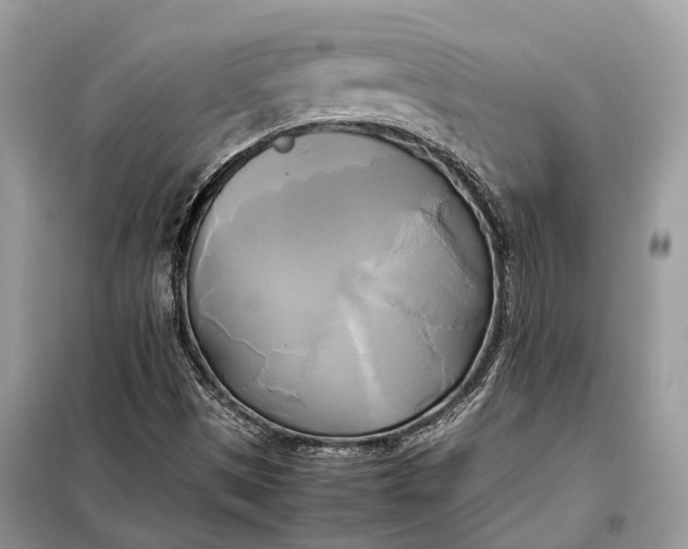 X0000099231497200805081545