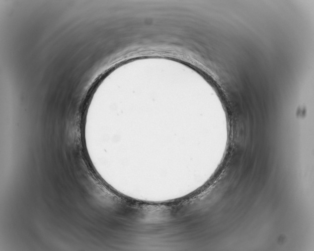 X0000099231498200805081545