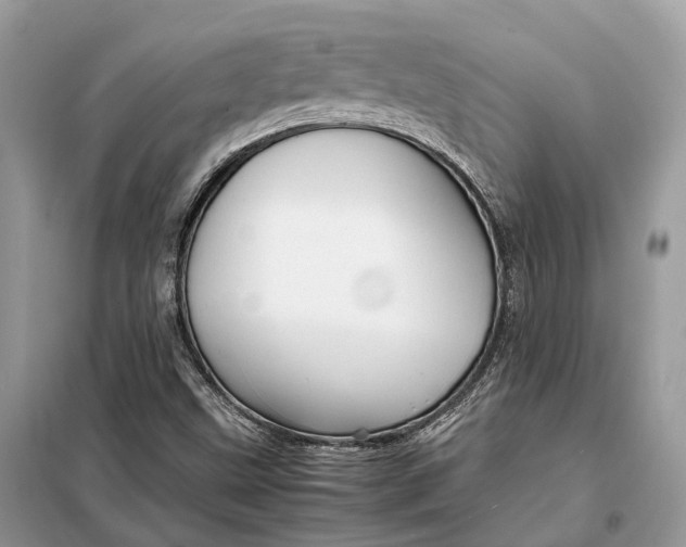 X0000099231499200805081545