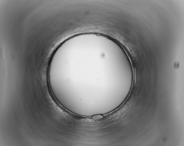 X0000099231500200805081545