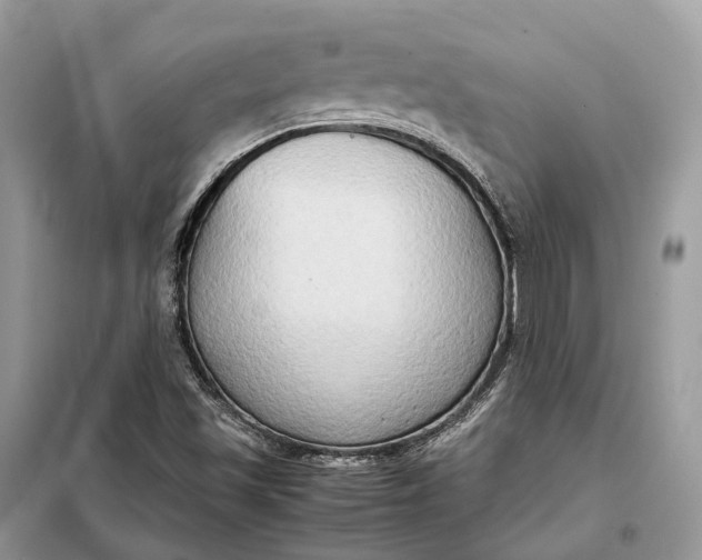 X0000099231501200805081545