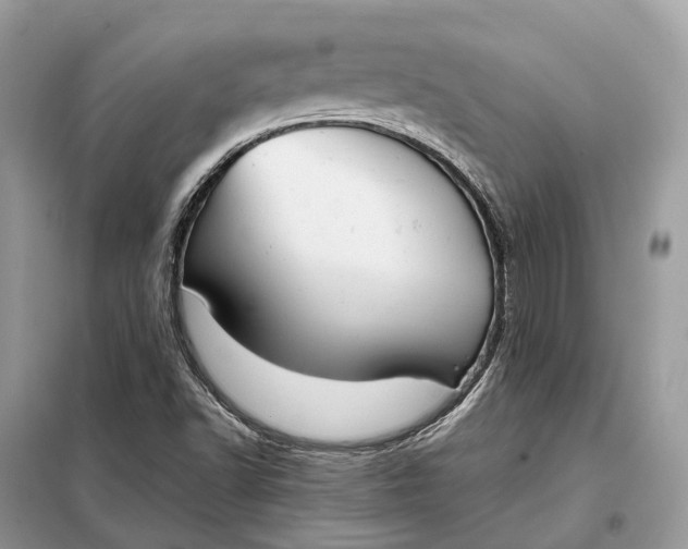 X0000099231502200805081545