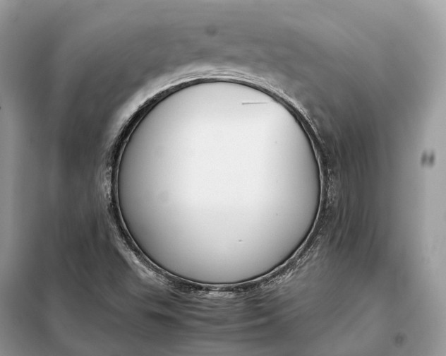 X0000099231503200805081545