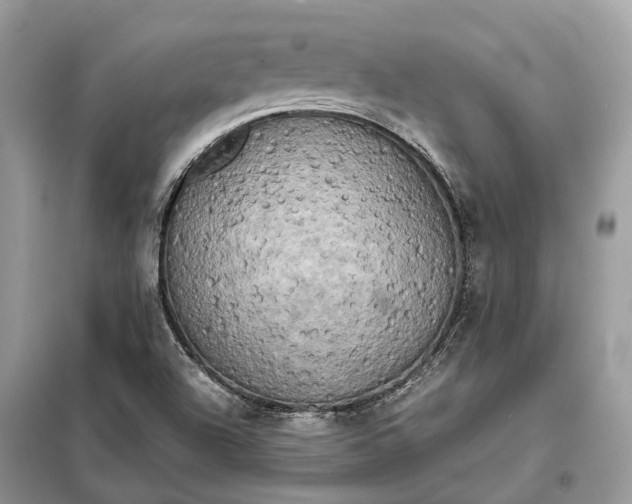 X0000099231504200805081545