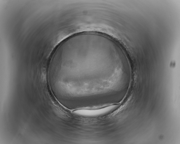 X0000099231505200805081545