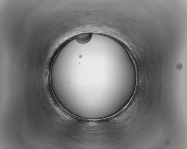 X0000099231507200805081545