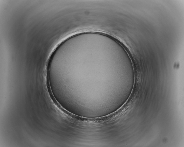 X0000099231508200805081545