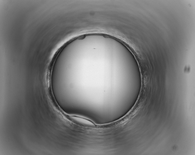 X0000099231510200805081545