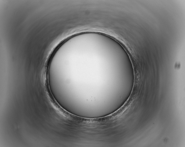 X0000099231511200805081545