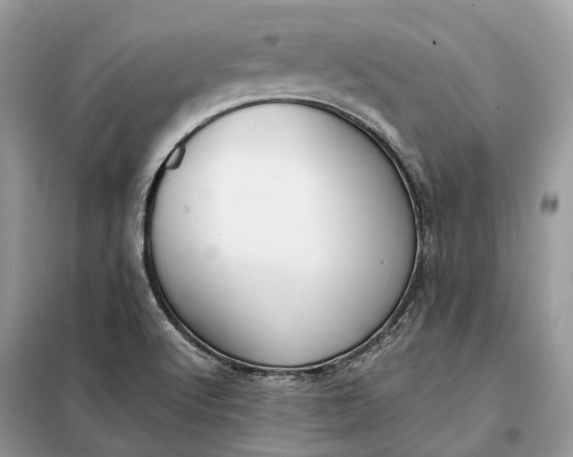 X0000099231512200805081545