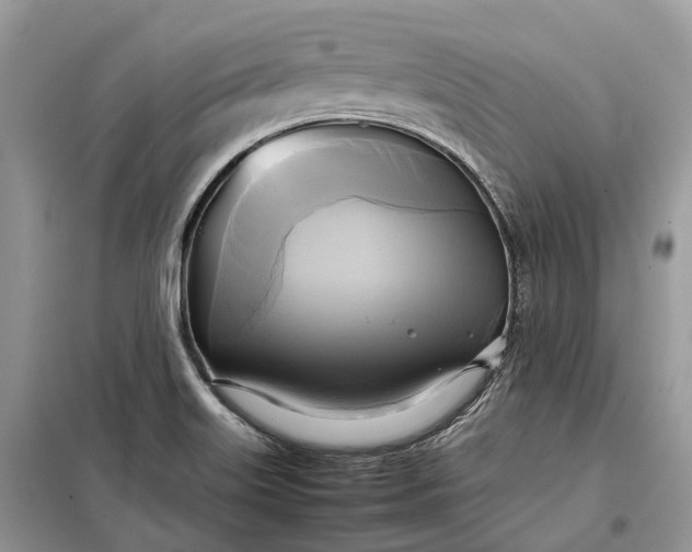 X0000099231515200805081545