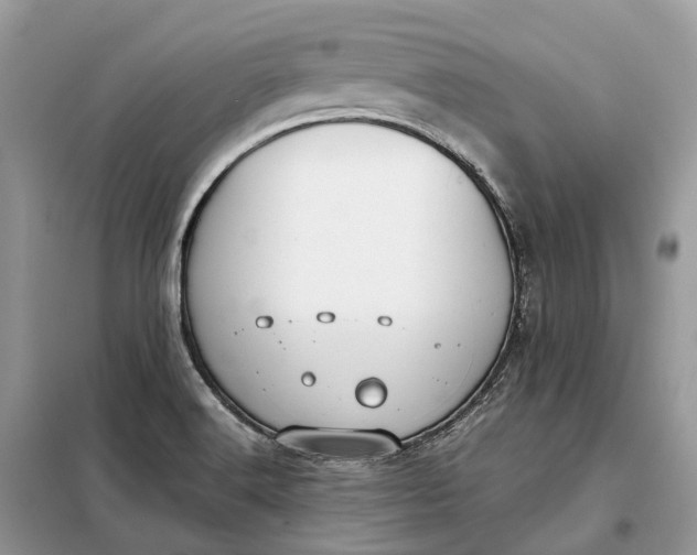 X0000099231516200805081545