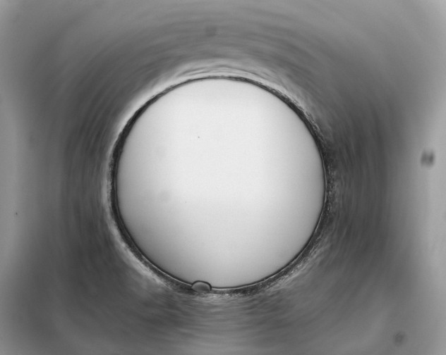 X0000099231518200805081545