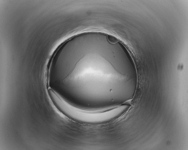 X0000099231519200805081545