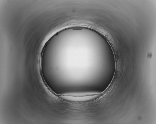 X0000099231520200805081545