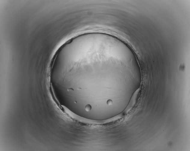 X0000099231522200805081545