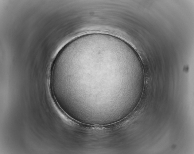 X0000099231523200805081545