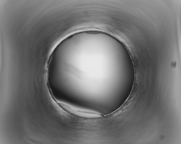 X0000099231524200805081545