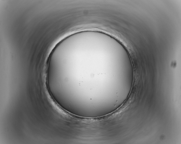 X0000099231526200805081545