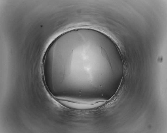 X0000099231527200805081545