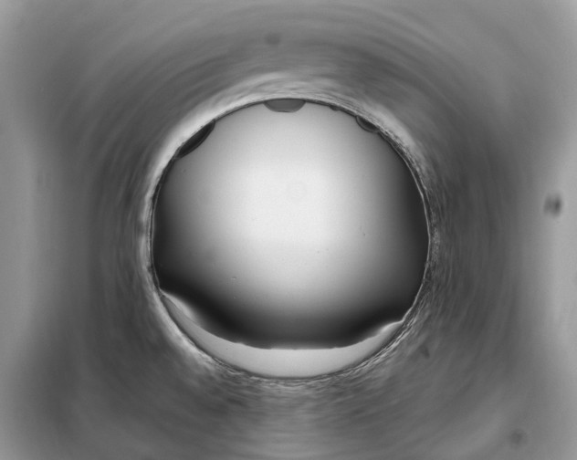 X0000099231528200805081545