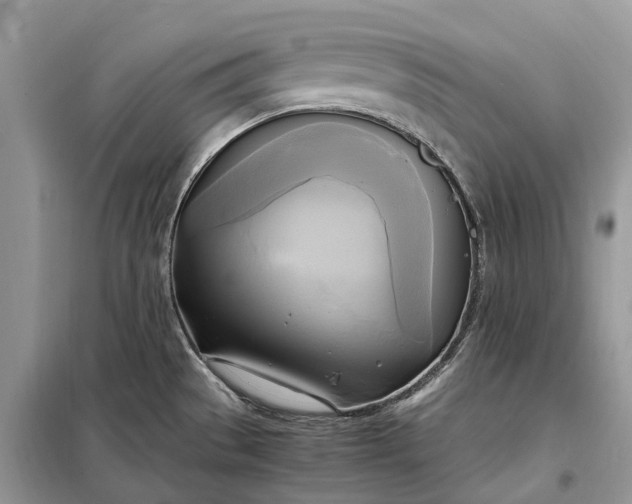 X0000099231529200805081545