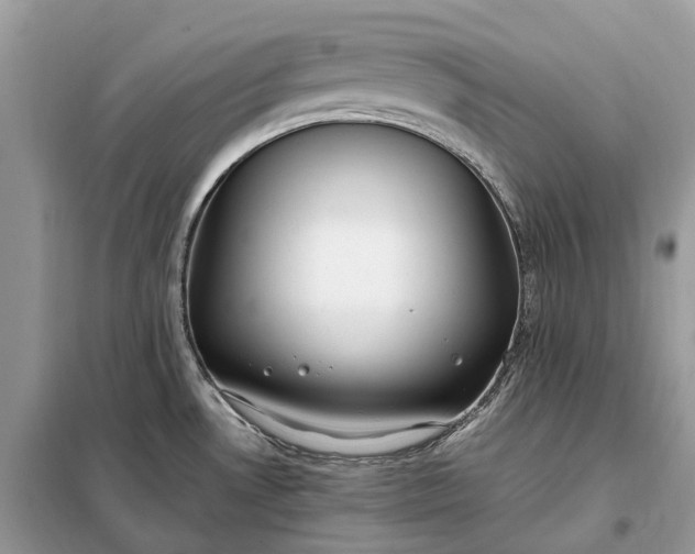 X0000099231530200805081545