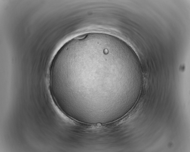 X0000099231531200805081545