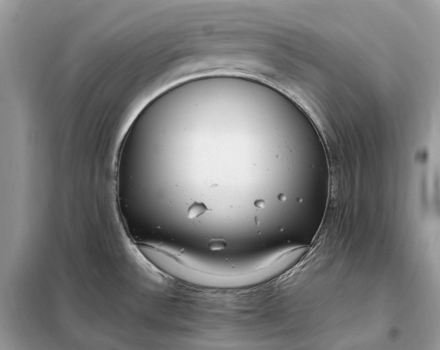 X0000099231532200805081545