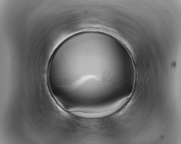 X0000099231533200805081545