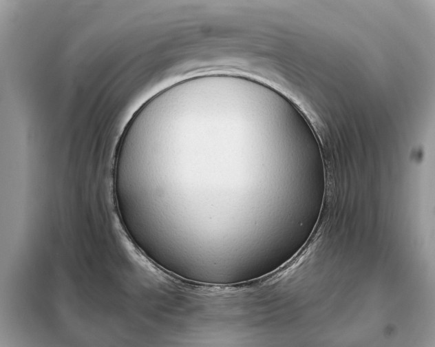 X0000099231534200805081545