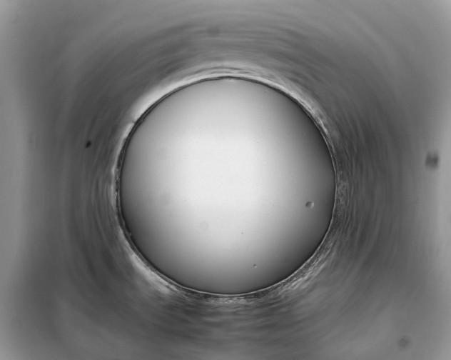 X0000099231535200805081545