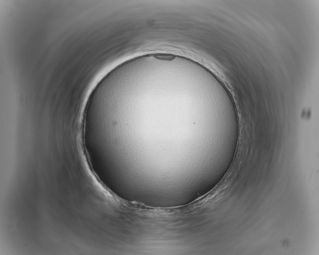 X0000099231536200805081545