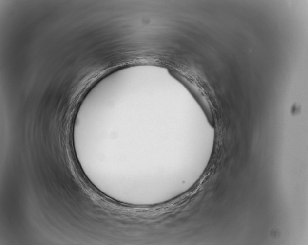 X0000099230001200805151640