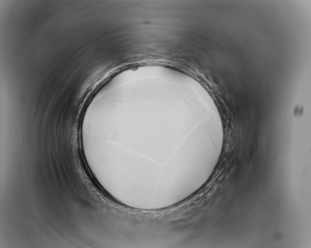 X0000099230002200805151640