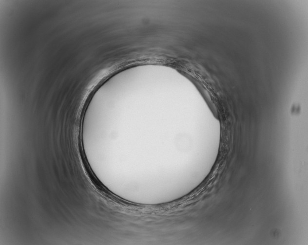 X0000099230003200805151640