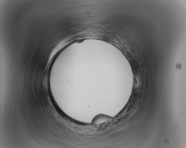 X0000099230004200805151640